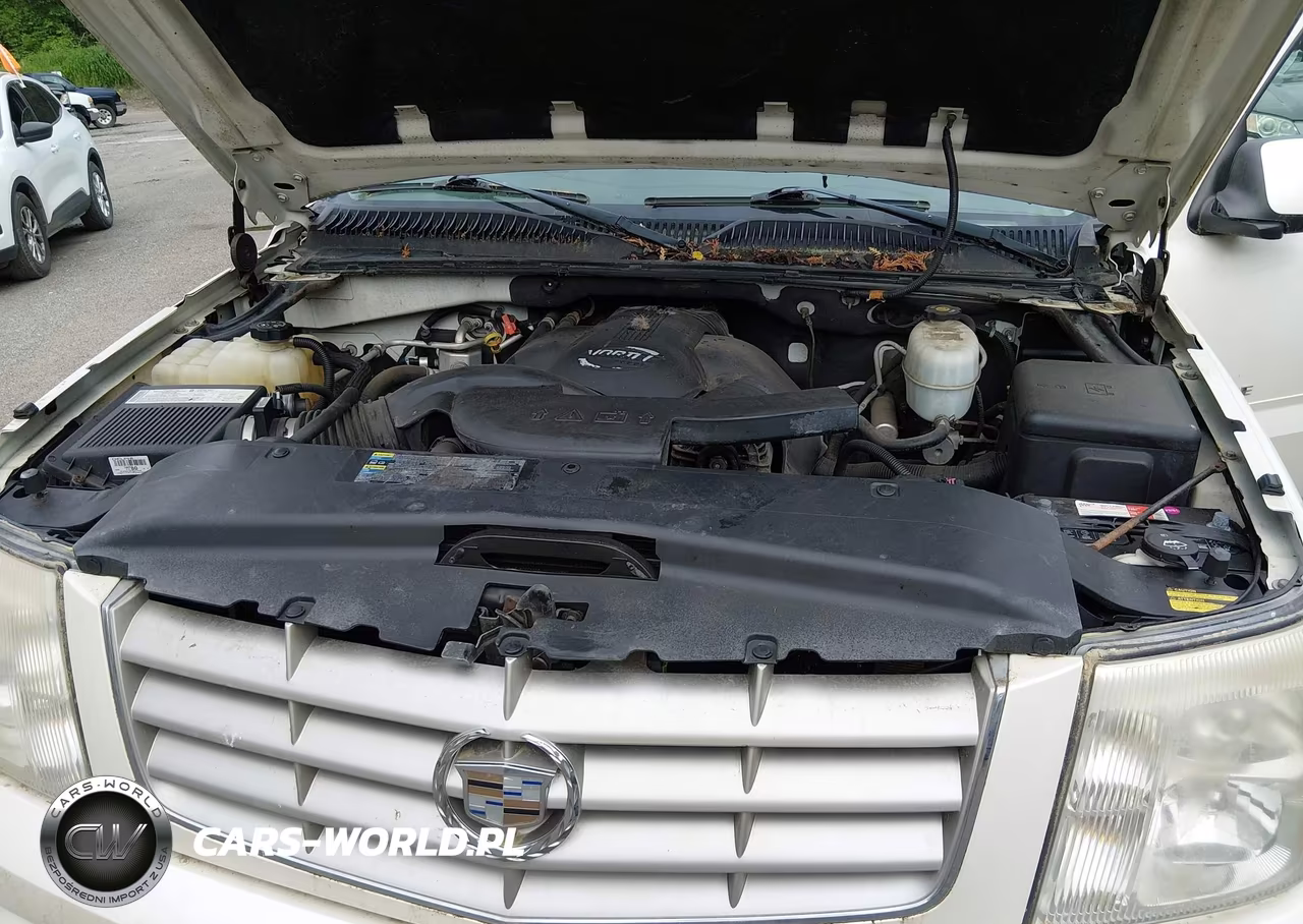 2005 Cadillac Escalade Standard VIN:1GYEK63N95R246360 - 10