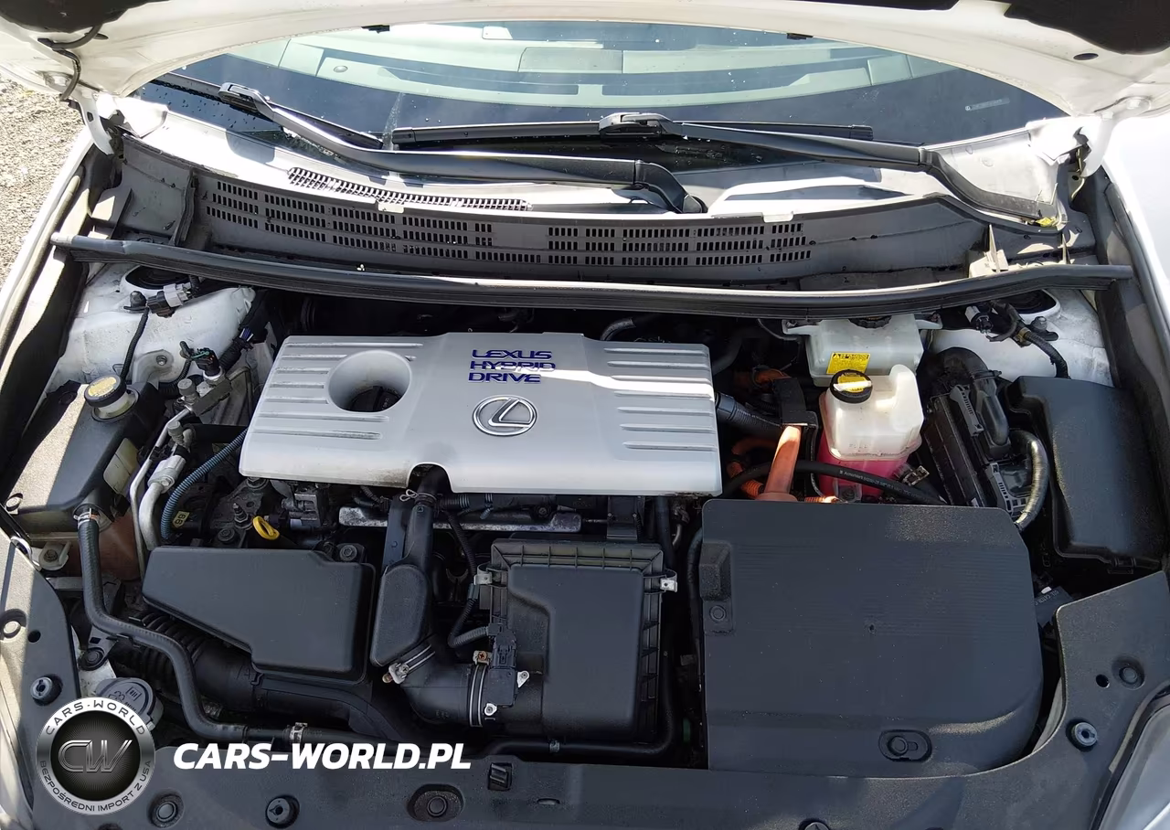 2013 Lexus Ct 200H VIN:JTHKD5BH3D2136659 - 10
