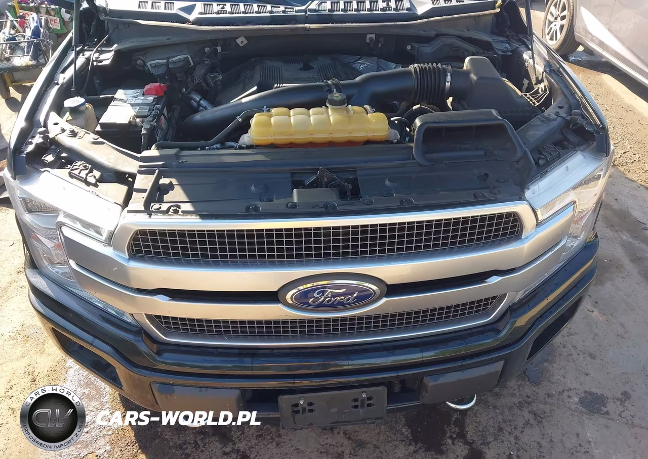 2018 Ford F-150 Platinum VIN:1FTEW1EG5JFD91399 - 10
