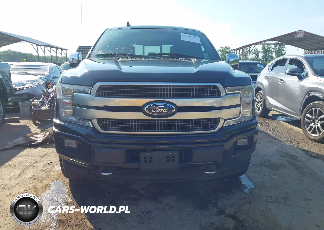 2018 Ford F-150 Platinum VIN:1FTEW1EG5JFD91399 - 12