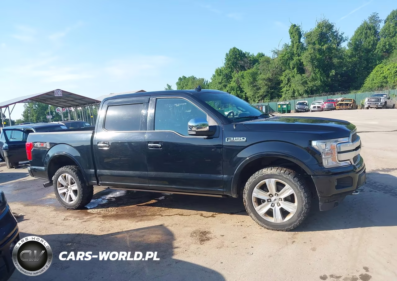 2018 Ford F-150 Platinum VIN:1FTEW1EG5JFD91399 - 13