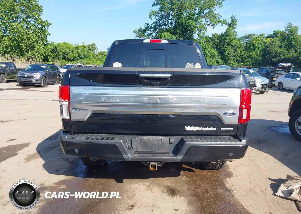 2018 Ford F-150 Platinum VIN:1FTEW1EG5JFD91399 - 16