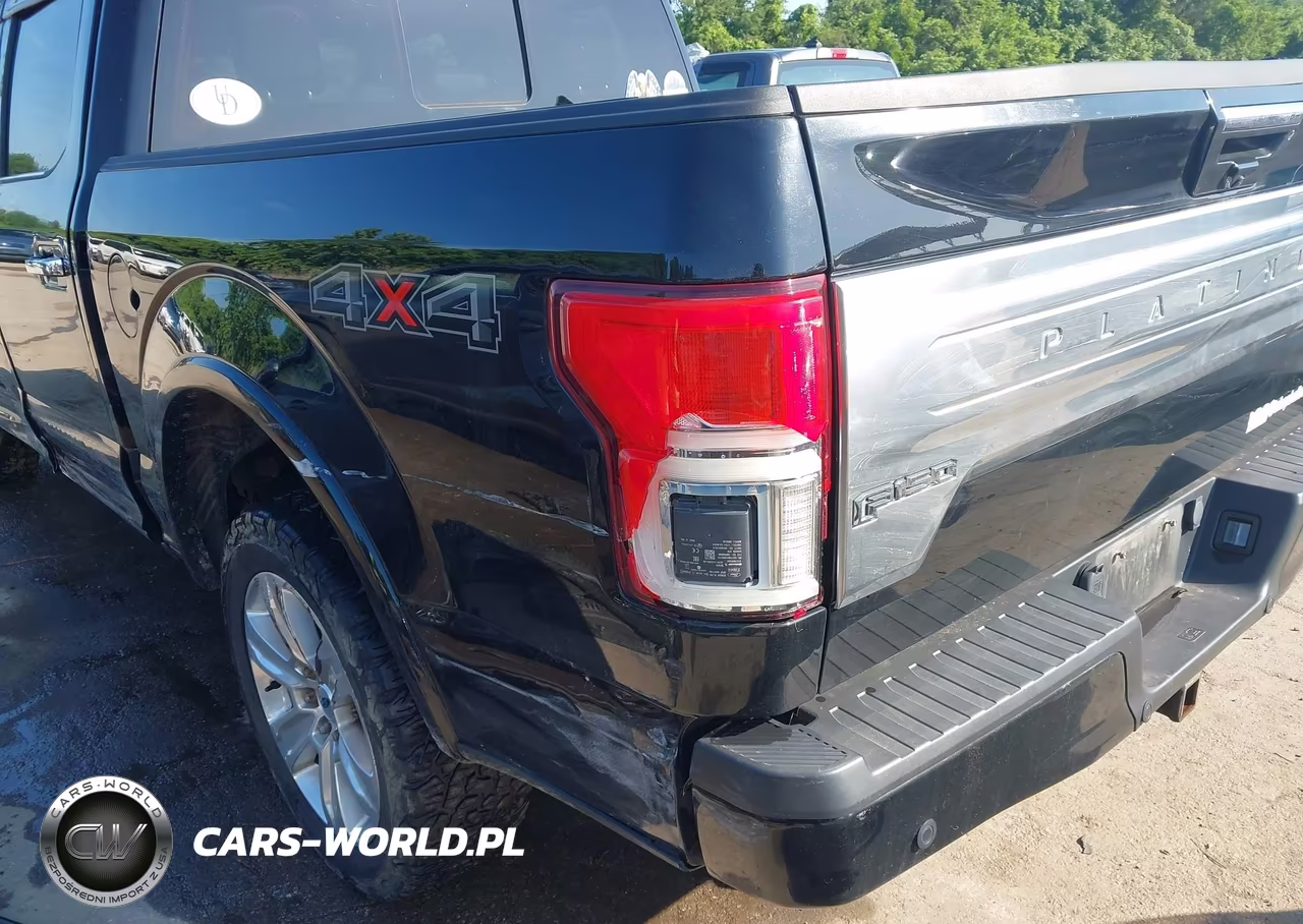 2018 Ford F-150 Platinum VIN:1FTEW1EG5JFD91399 - 19