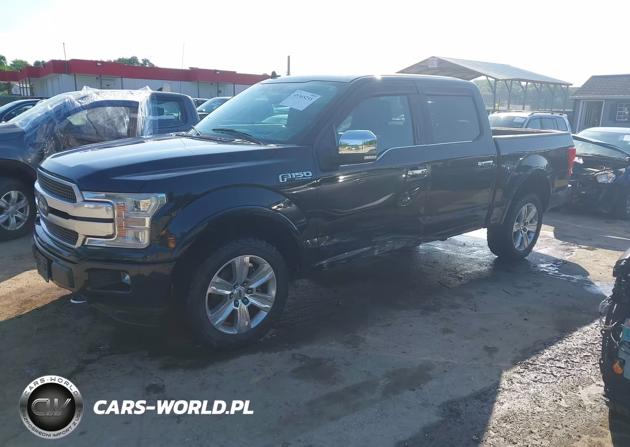 2018 Ford F-150 Platinum VIN:1FTEW1EG5JFD91399 - 2