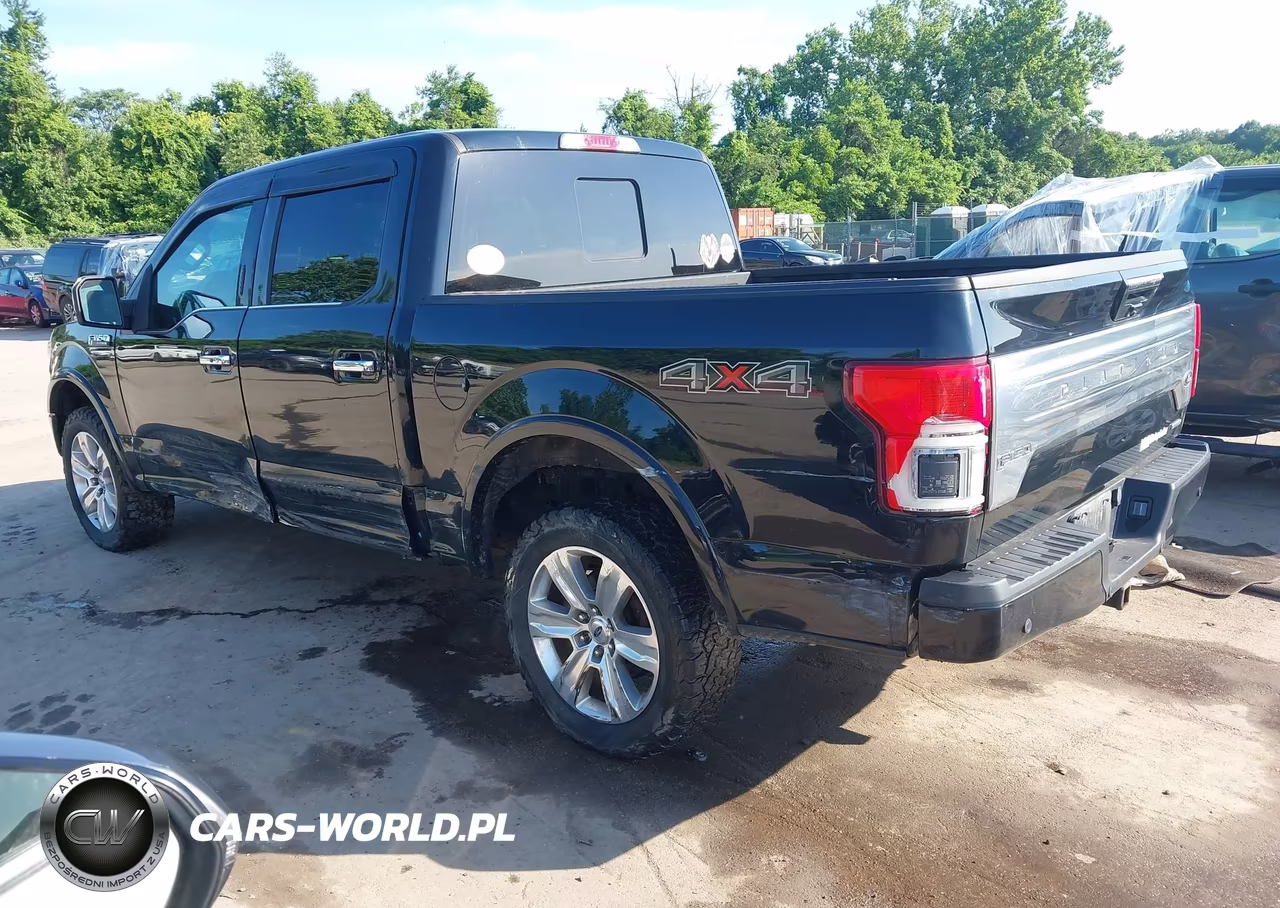 2018 Ford F-150 Platinum VIN:1FTEW1EG5JFD91399 - 3