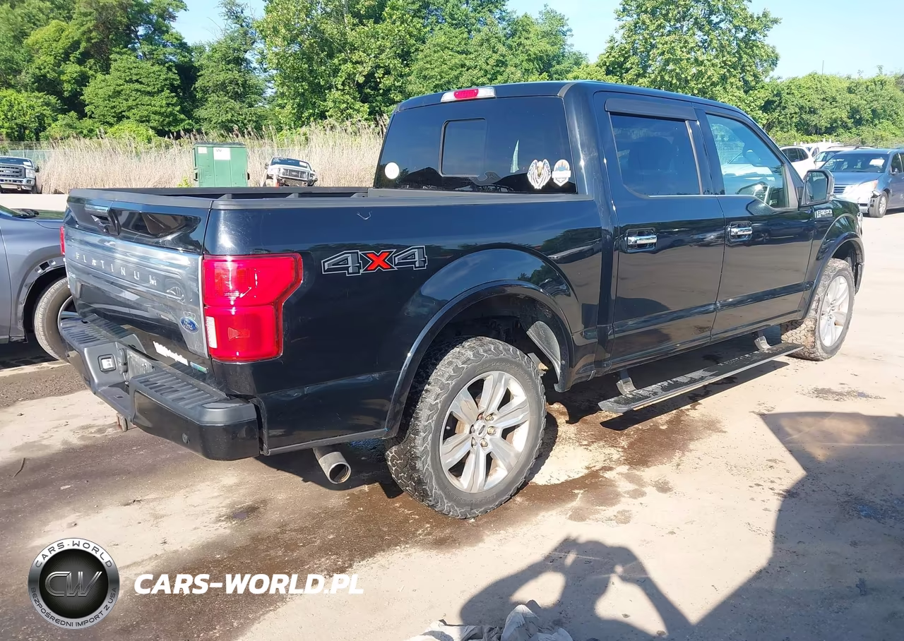 2018 Ford F-150 Platinum VIN:1FTEW1EG5JFD91399 - 4