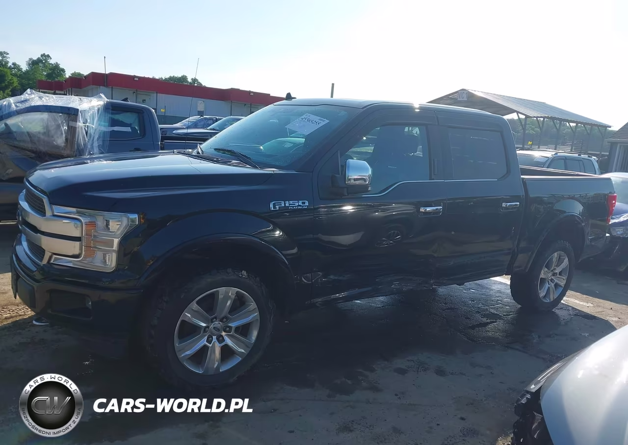2018 Ford F-150 Platinum VIN:1FTEW1EG5JFD91399 - 6