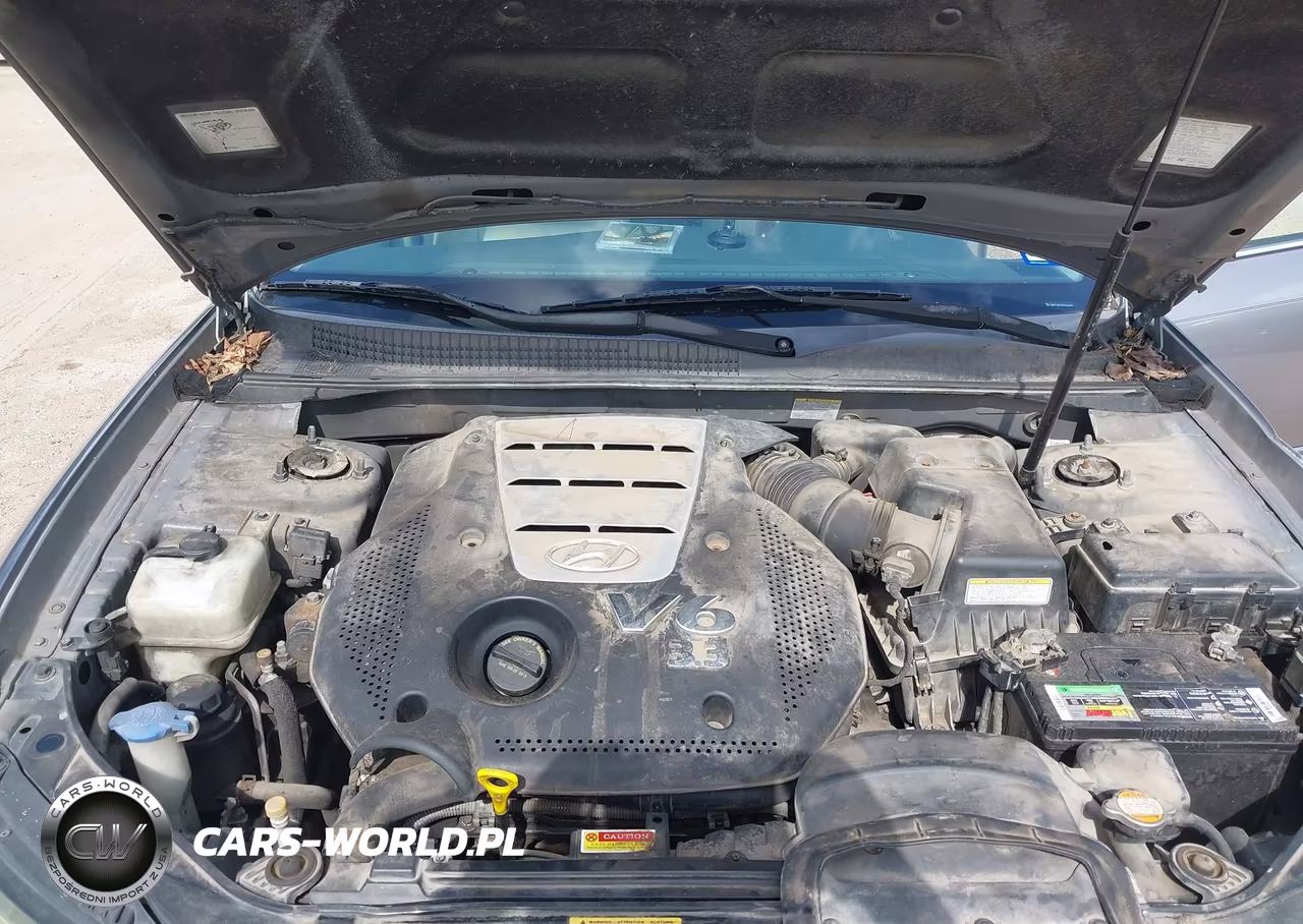 2006 Hyundai Sonata Gls V6-Lx V6 VIN:5NPEU46F86H044403 - 10