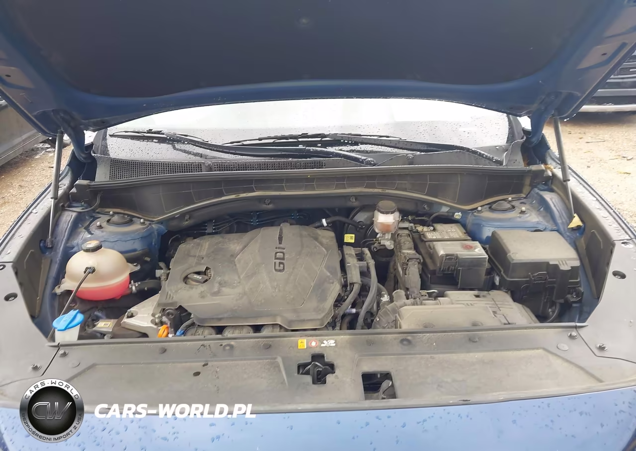 2023 Hyundai Santa Fe Xrt VIN:5NMS64AJ4PH546106 - 10