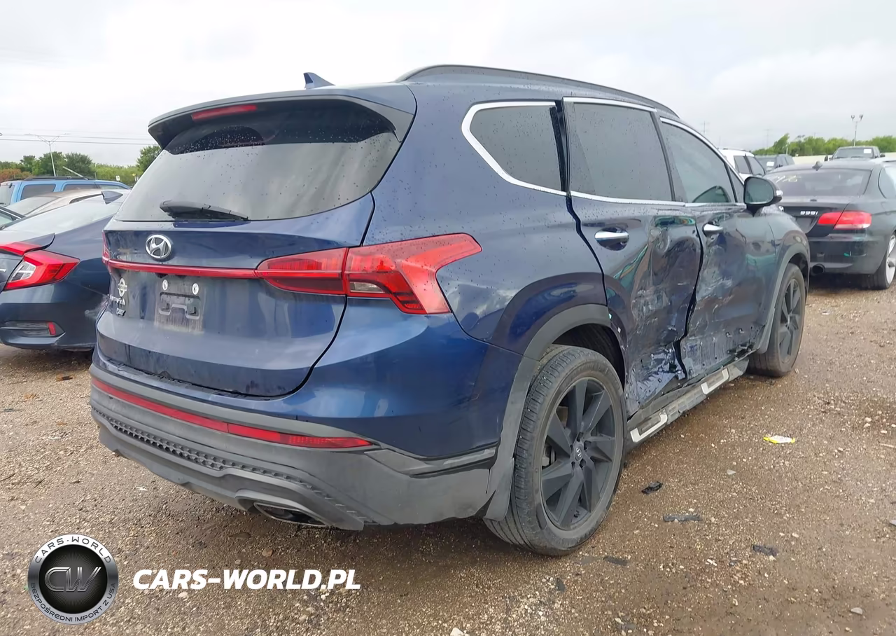 2023 Hyundai Santa Fe Xrt VIN:5NMS64AJ4PH546106 - 4