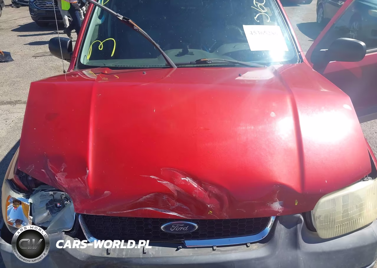 2003 Ford Escape Xlt VIN:1FMCU03183KE15187 - 10