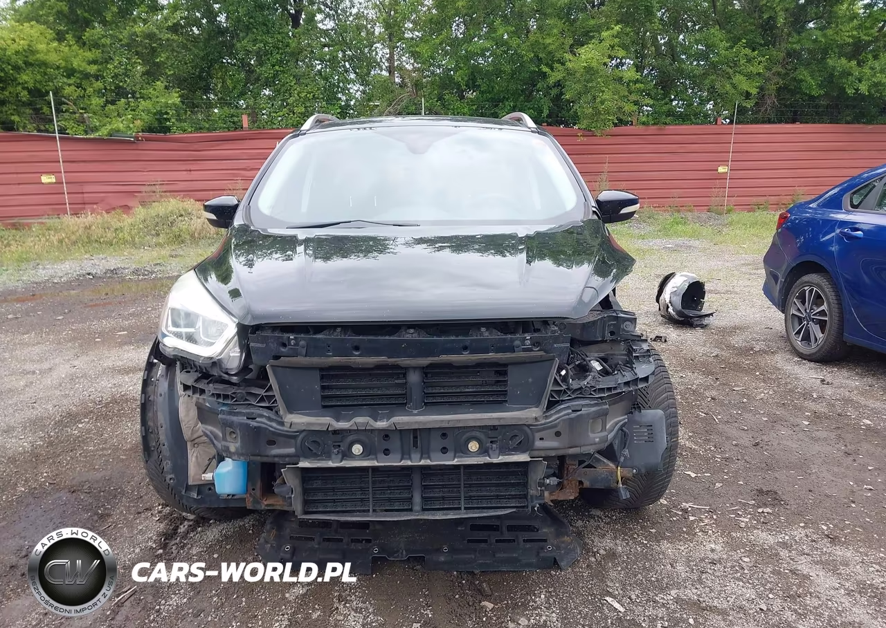 2017 Ford Escape Titanium VIN:1FMCU0JD7HUD65083 - 13
