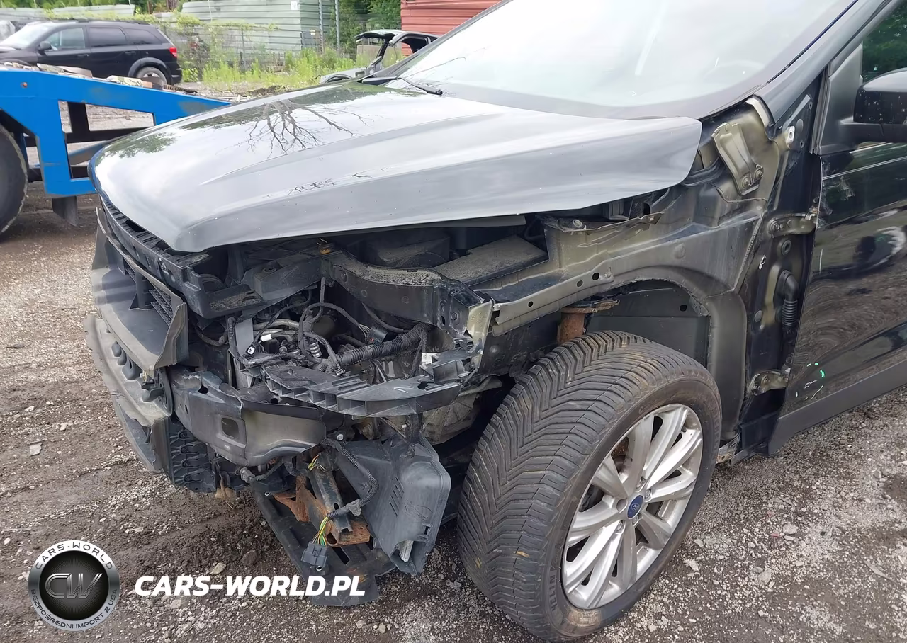 2017 Ford Escape Titanium VIN:1FMCU0JD7HUD65083 - 19