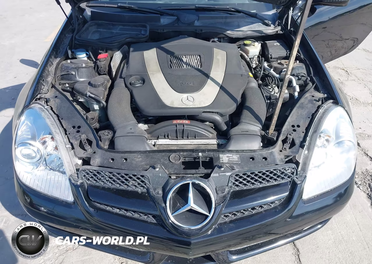 2009 Mercedes-Benz Slk 300 VIN:WDBWK54F09F192528 - 10