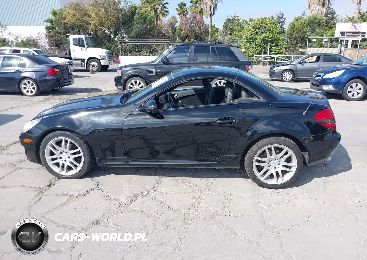 2009 Mercedes-Benz Slk 300 VIN:WDBWK54F09F192528 - 14