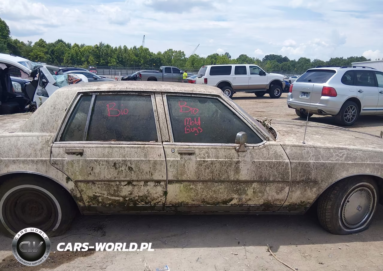 1980 Oldsmobile Cutlass VIN:3N69YAX172437 - 13
