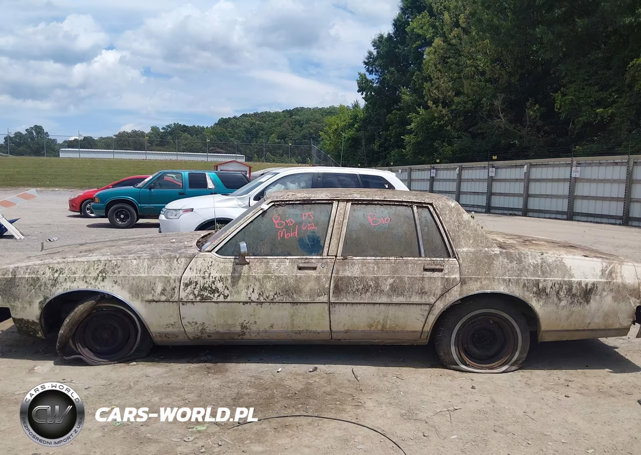 1980 Oldsmobile Cutlass VIN:3N69YAX172437 - 14