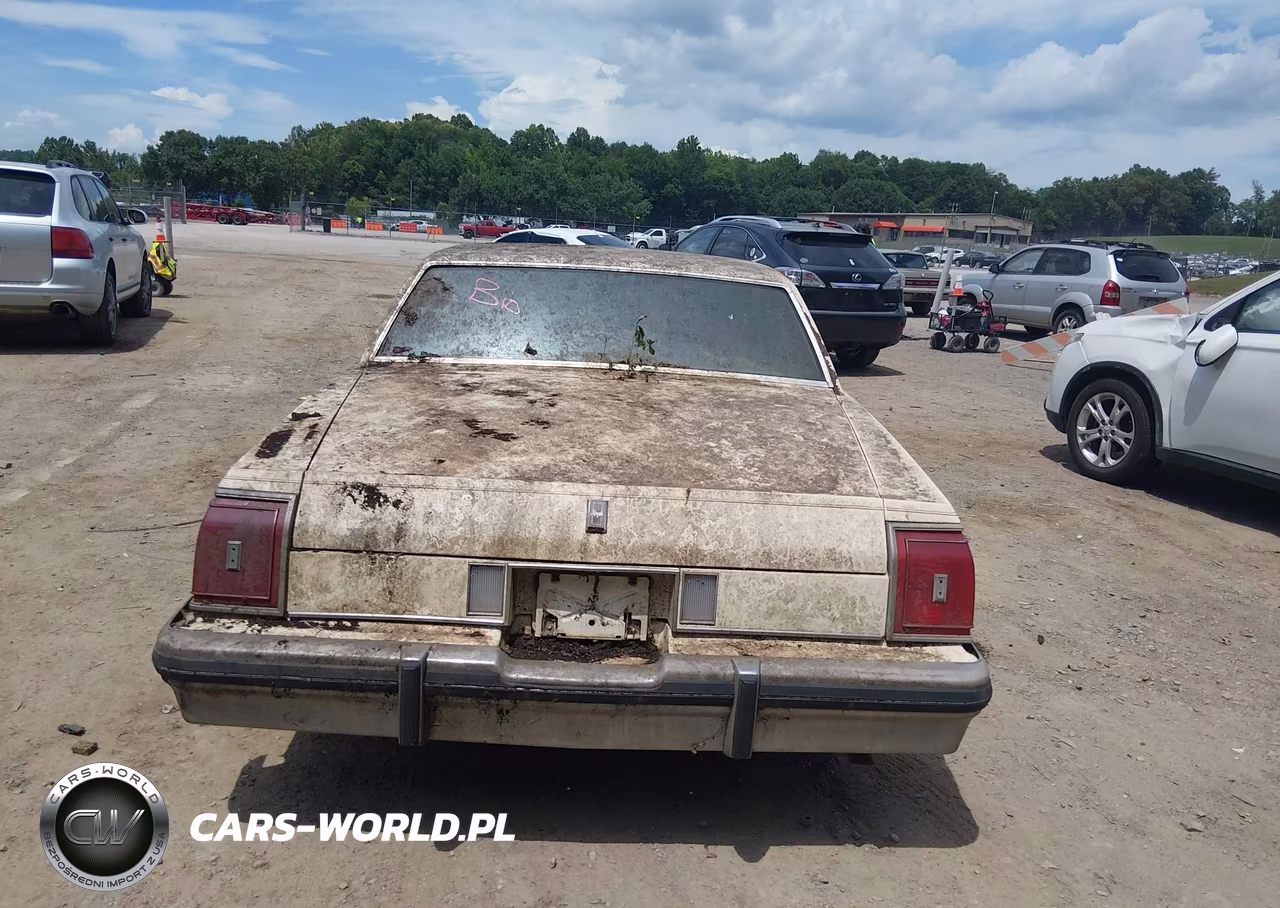 1980 Oldsmobile Cutlass VIN:3N69YAX172437 - 16