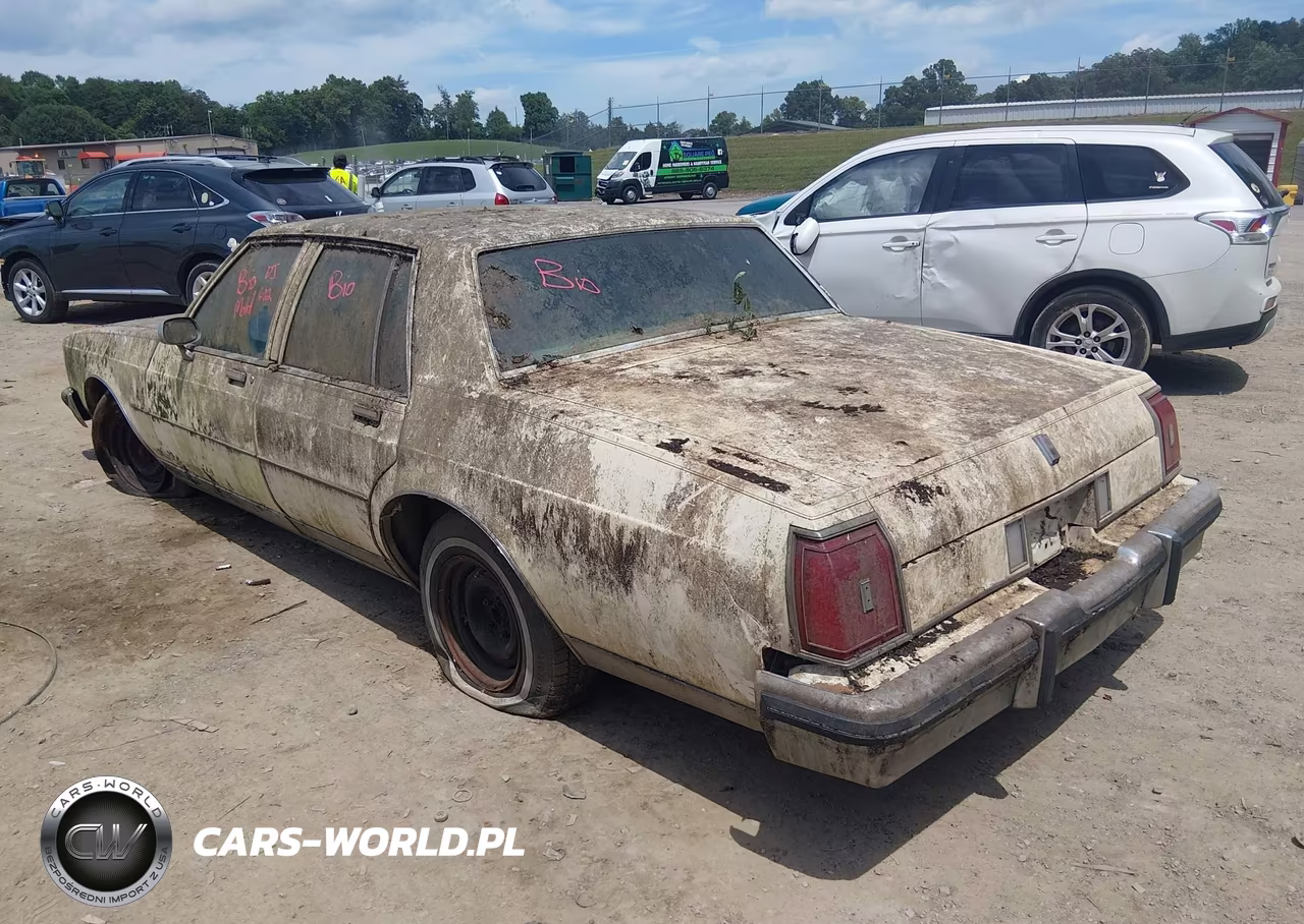 1980 Oldsmobile Cutlass VIN:3N69YAX172437 - 3