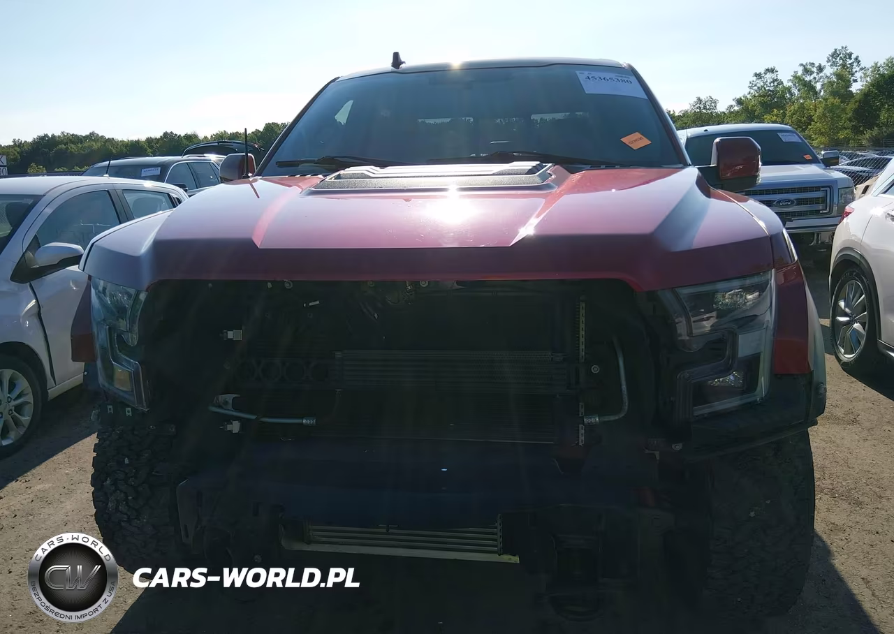 2020 Ford F-150 Raptor VIN:1FTFW1RG5LFA35035 - 13
