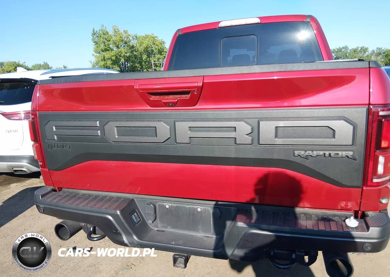 2020 Ford F-150 Raptor VIN:1FTFW1RG5LFA35035 - 17