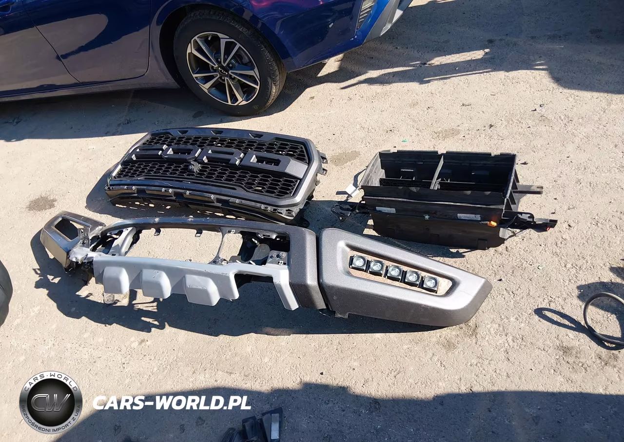 2020 Ford F-150 Raptor VIN:1FTFW1RG5LFA35035 - 19