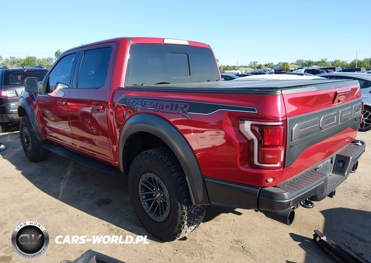 2020 Ford F-150 Raptor VIN:1FTFW1RG5LFA35035 - 3