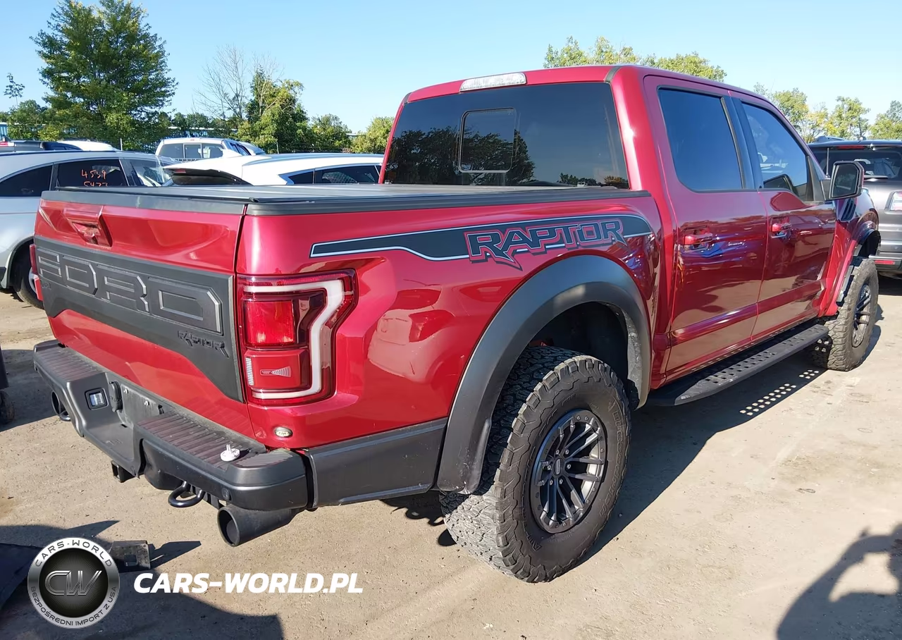 2020 Ford F-150 Raptor VIN:1FTFW1RG5LFA35035 - 4