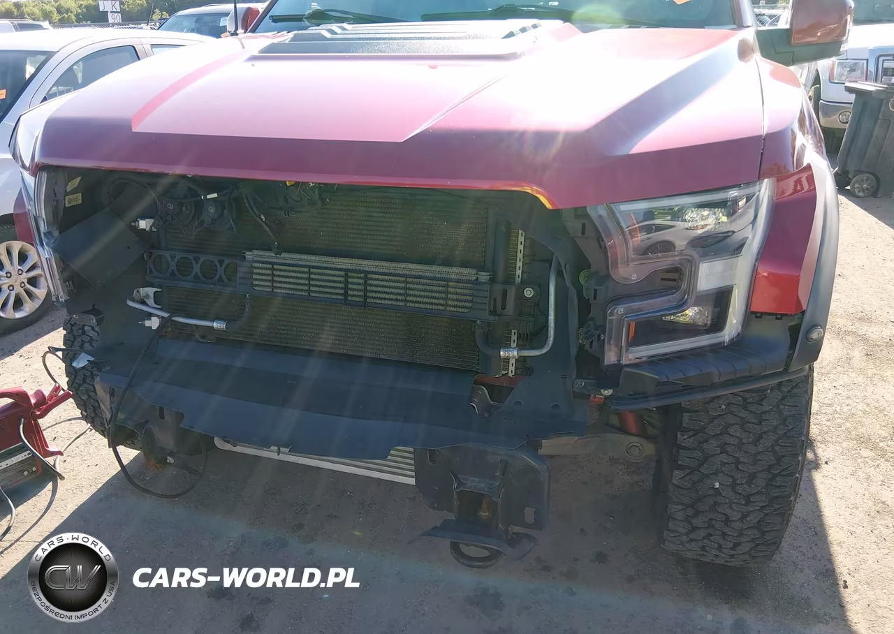 2020 Ford F-150 Raptor VIN:1FTFW1RG5LFA35035 - 6