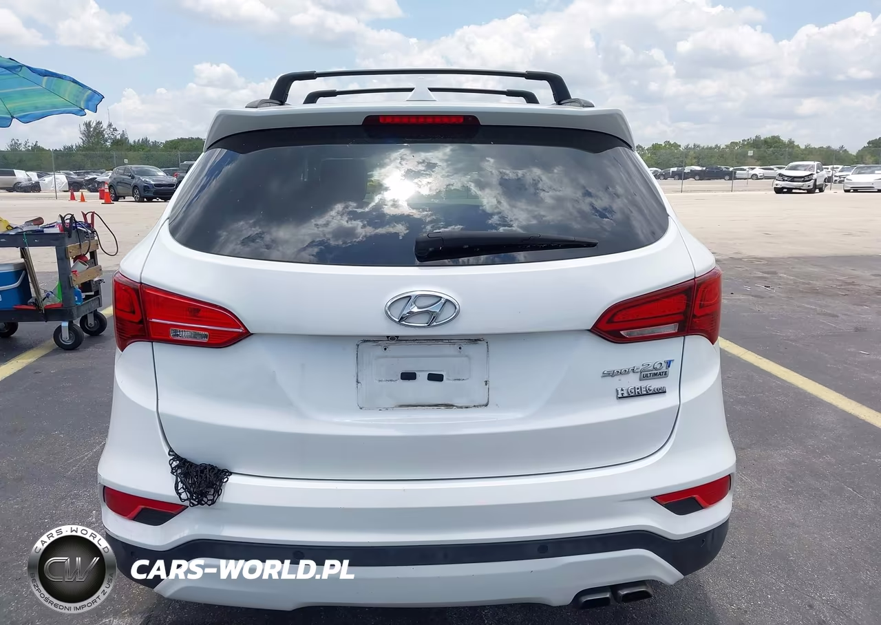 2017 Hyundai Santa Fe Sport 2.0T Ultimate VIN:5XYZW4LA1HG446410 - 17
