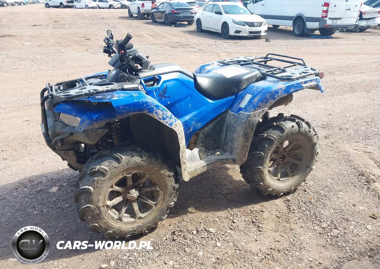 2021 Honda Trx420 Fa VIN:1HFTE47D1M4601355 - 2