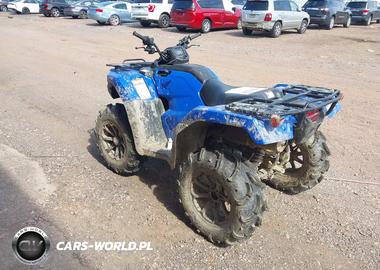 2021 Honda Trx420 Fa VIN:1HFTE47D1M4601355 - 3