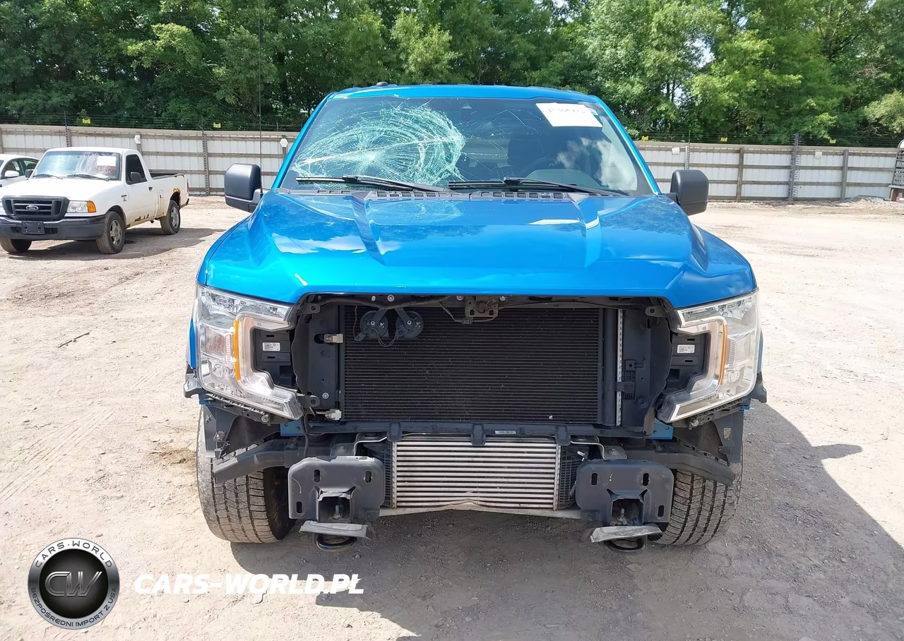 2019 Ford F-150 Xl VIN:1FTEX1EP6KKE20690 - 13