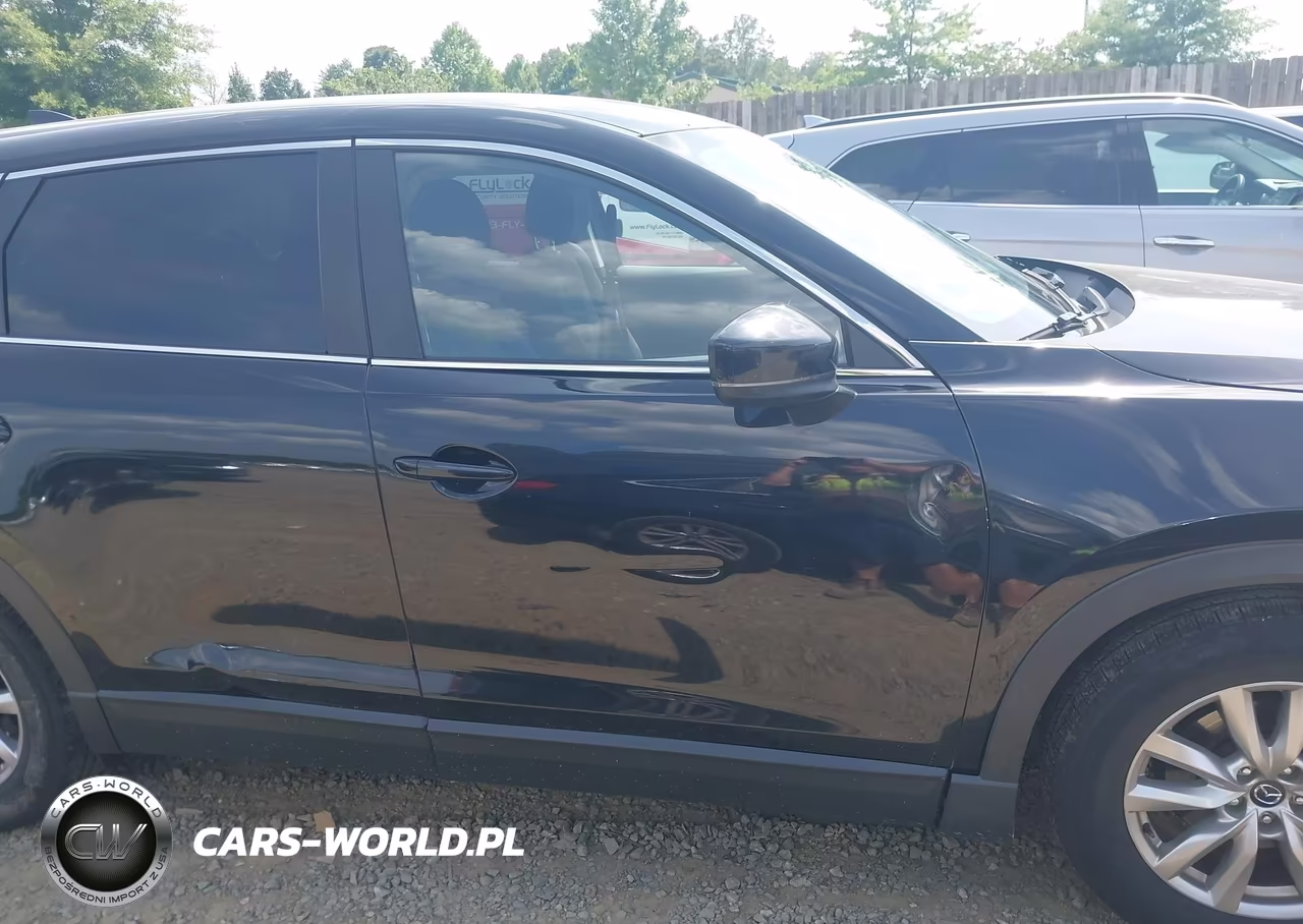 2016 Mazda Cx-9 Sport VIN:JM3TCBBY8G0104238 - 14