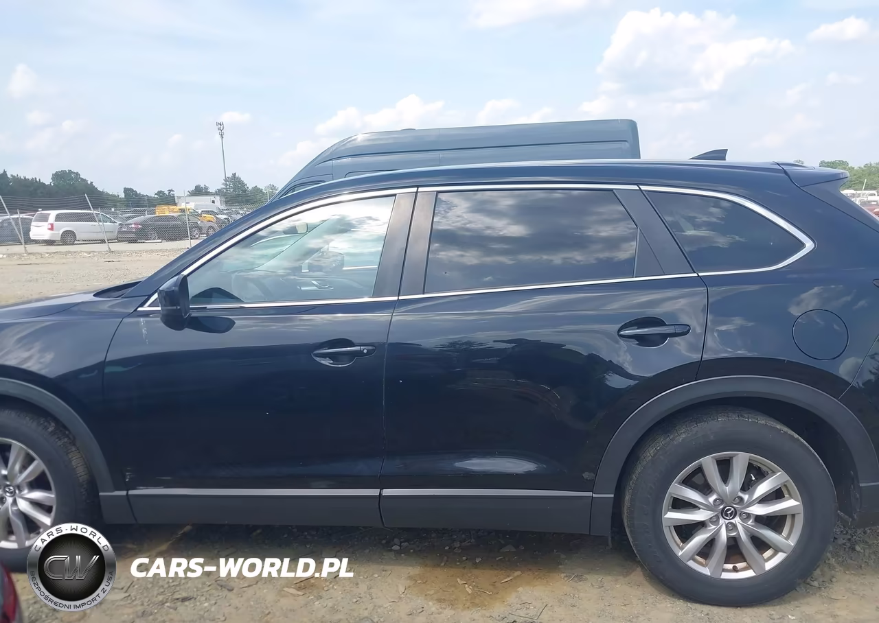 2016 Mazda Cx-9 Sport VIN:JM3TCBBY8G0104238 - 15