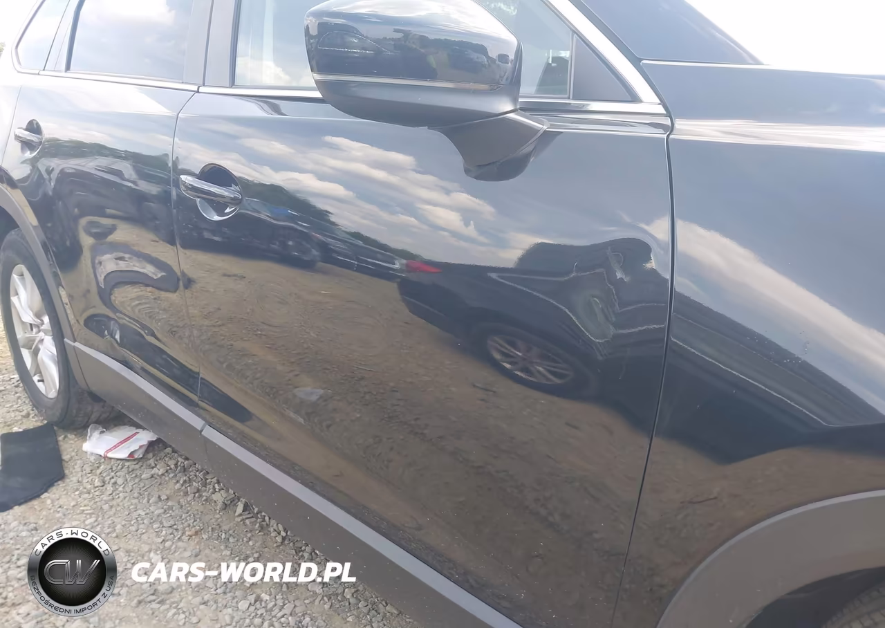2016 Mazda Cx-9 Sport VIN:JM3TCBBY8G0104238 - 18