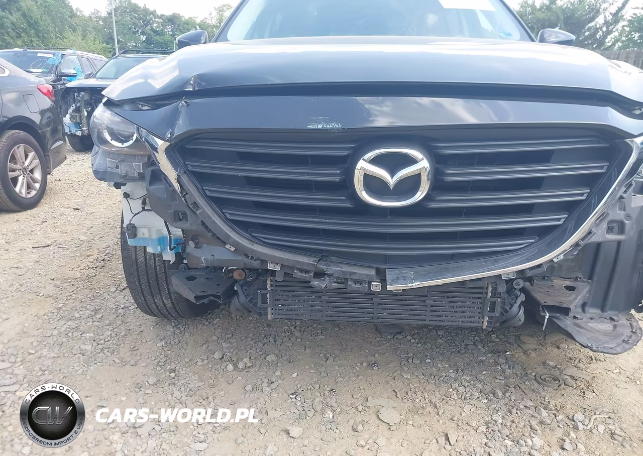 2016 Mazda Cx-9 Sport VIN:JM3TCBBY8G0104238 - 6