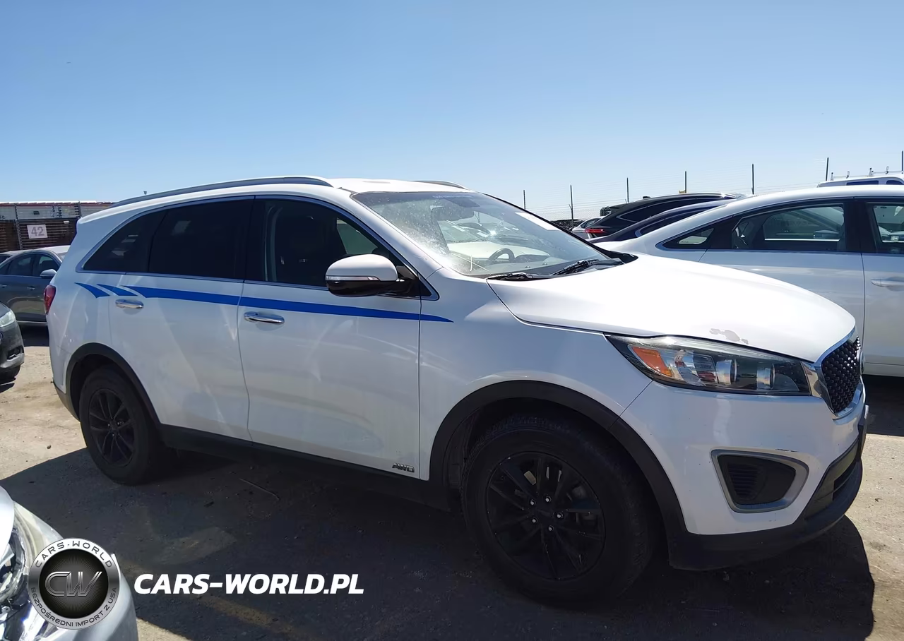 2016 Kia Sorento 2.4L Lx VIN:5XYPGDA39GG057487 - 13