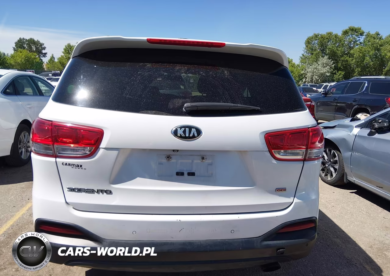 2016 Kia Sorento 2.4L Lx VIN:5XYPGDA39GG057487 - 16