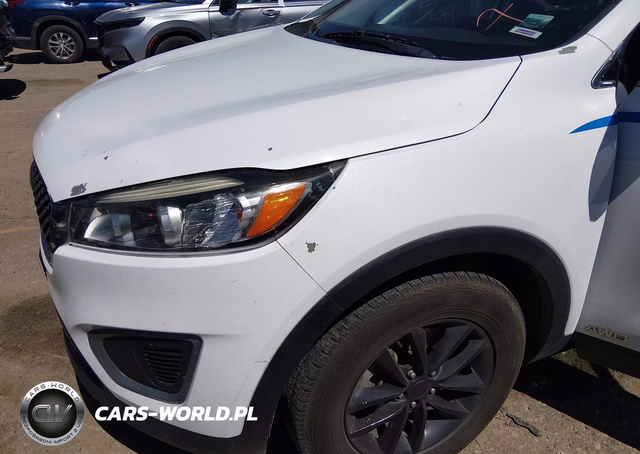 2016 Kia Sorento 2.4L Lx VIN:5XYPGDA39GG057487 - 17