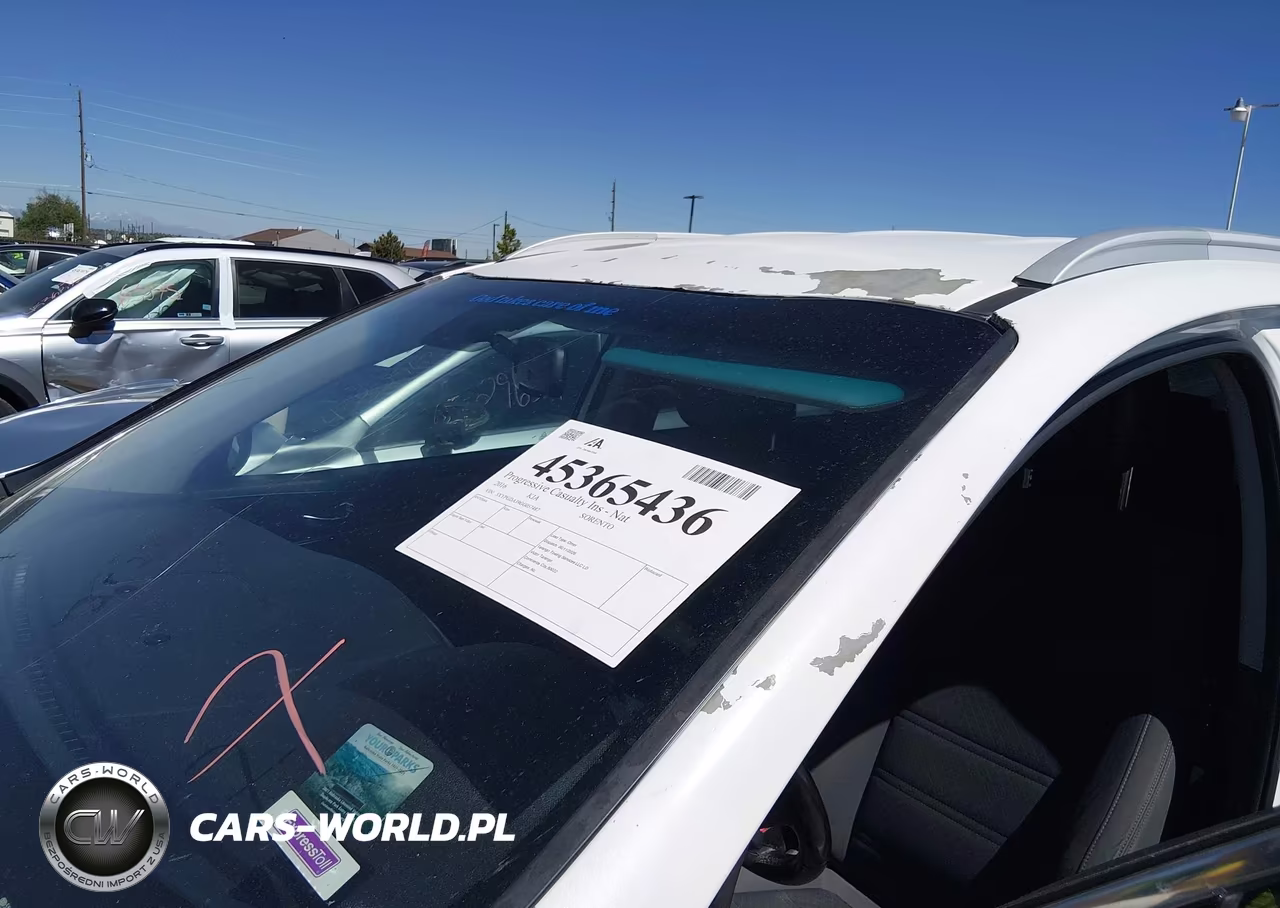 2016 Kia Sorento 2.4L Lx VIN:5XYPGDA39GG057487 - 18