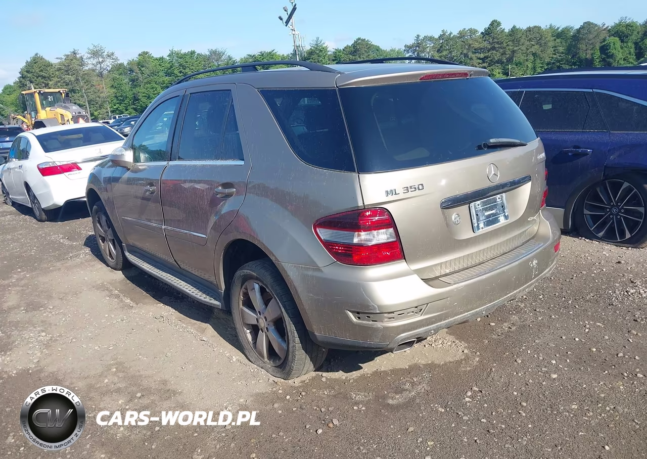 2010 Mercedes-Benz Ml 350 4Matic VIN:4JGBB8GB2AA559257 - 3