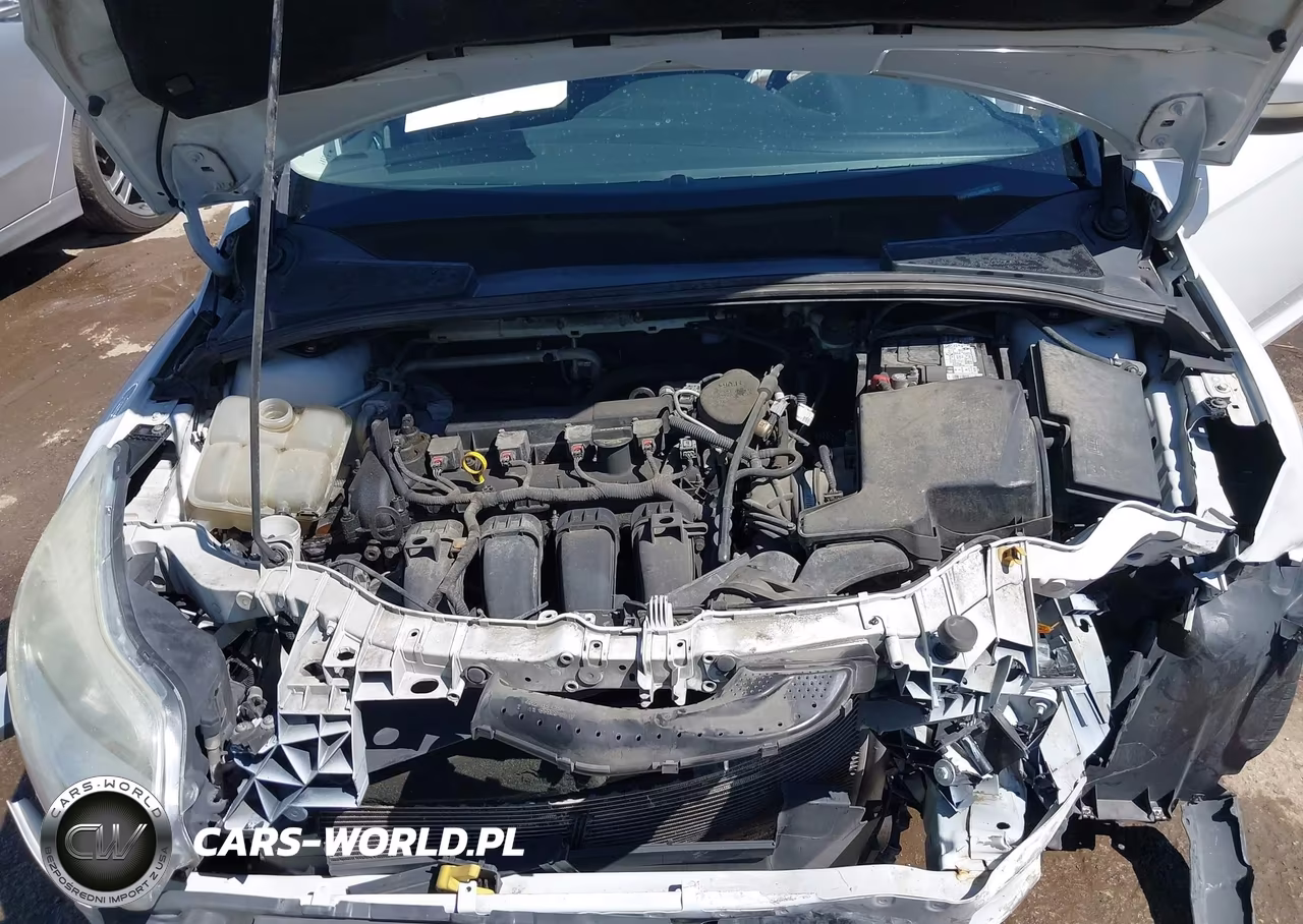 2014 Ford Focus Se VIN:1FADP3K27EL209230 - 10