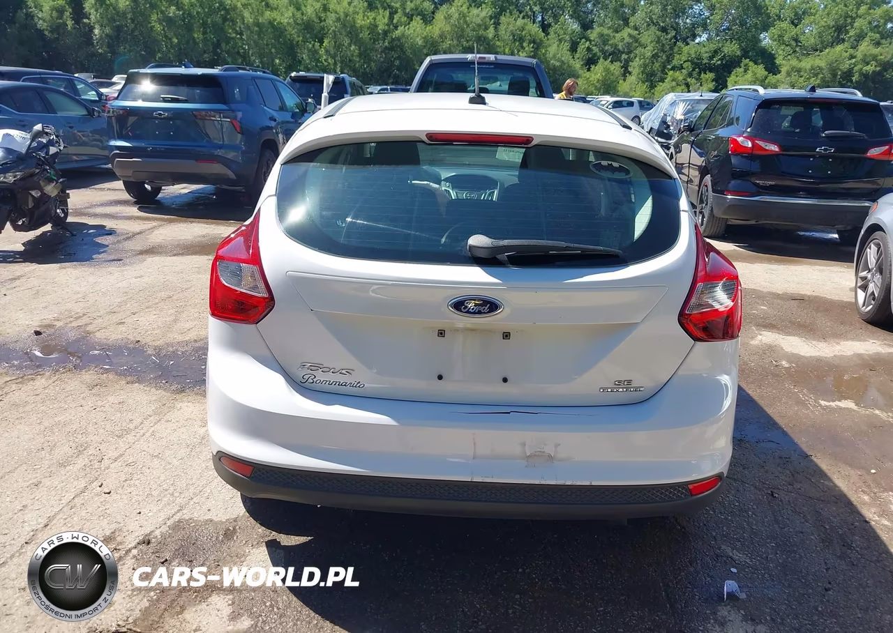 2014 Ford Focus Se VIN:1FADP3K27EL209230 - 17