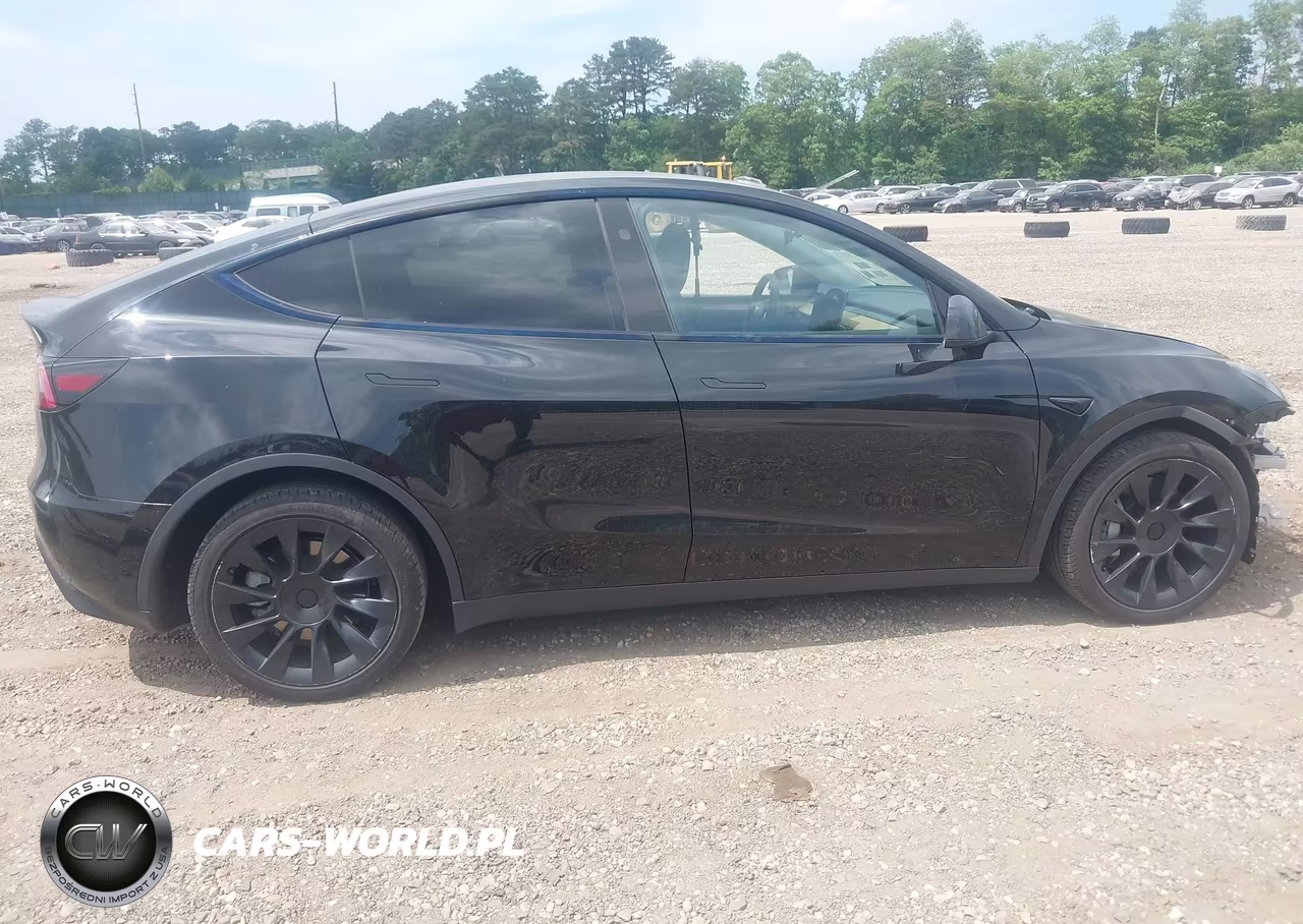 2024 Tesla Model Y Long Range Dual Motor All-Wheel Drive VIN:7SAYGDEE6RA245443 - 13