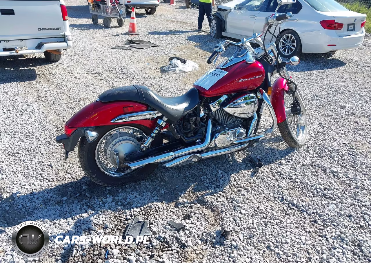 2009 Honda Vt750 C2 VIN:JH2RC53059K200209 - 4