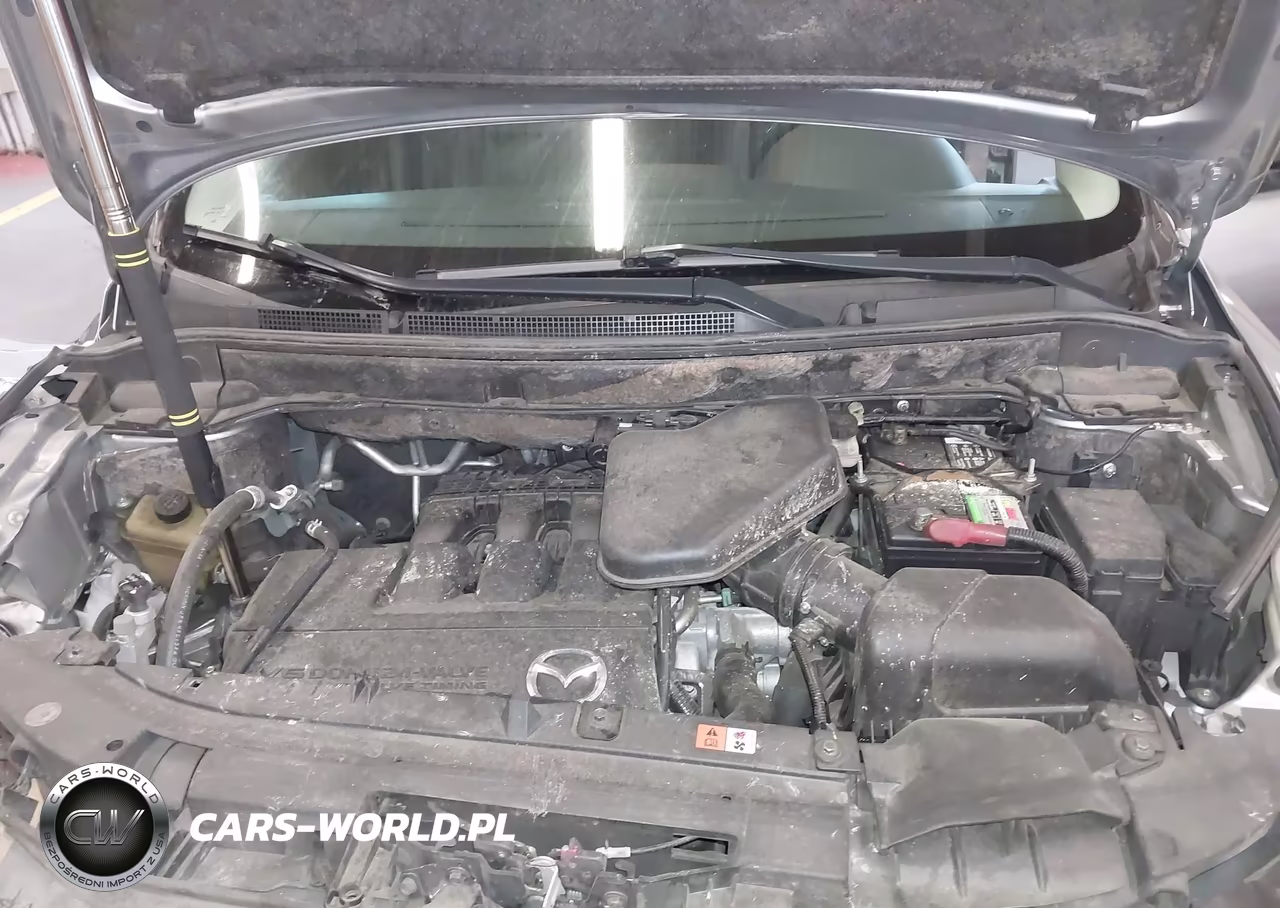 2011 Mazda Cx-9 Grand Touring VIN:JM3TB3DV2B0325399 - 10