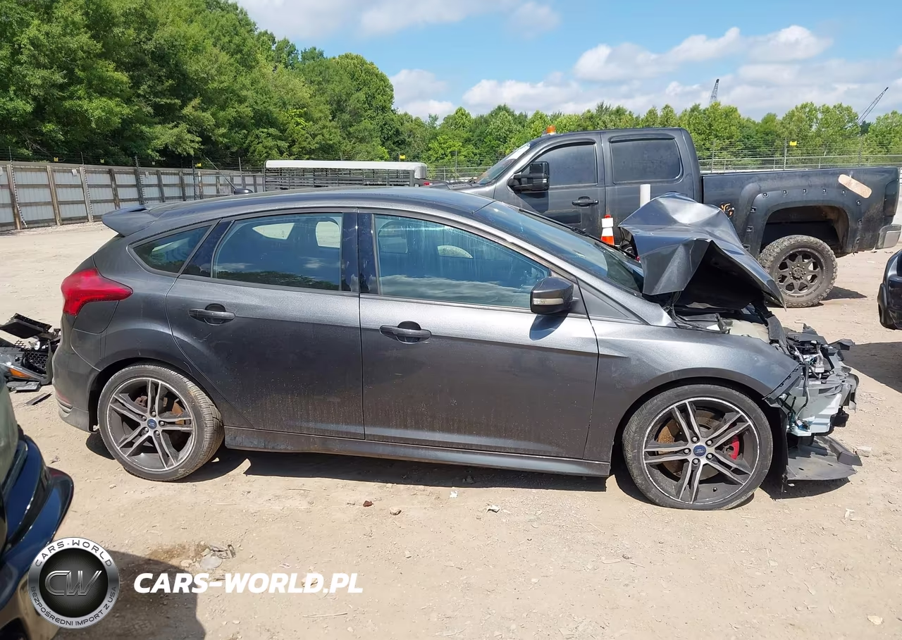 2018 Ford Focus St VIN:1FADP3L9XJL232443 - 13