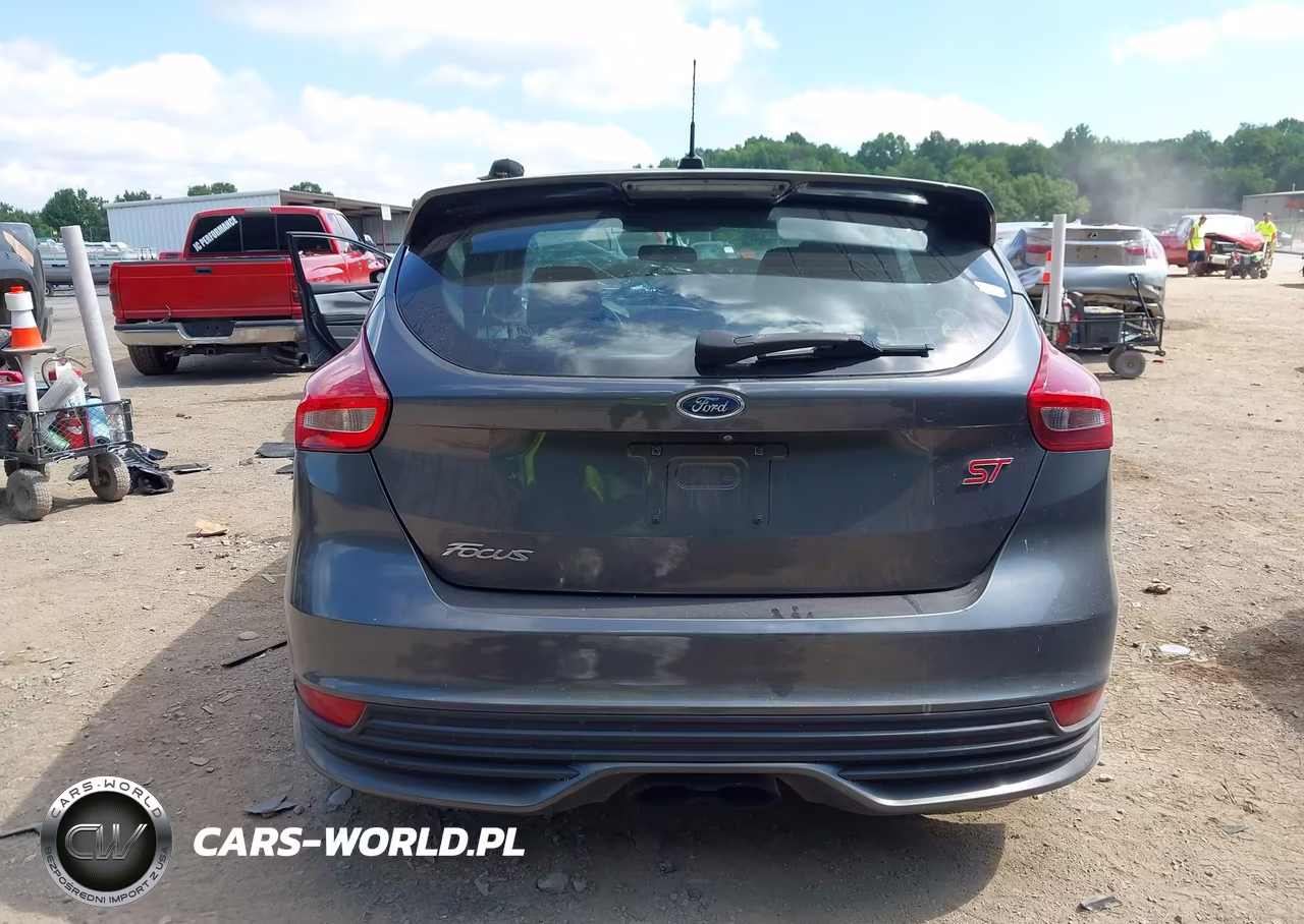 2018 Ford Focus St VIN:1FADP3L9XJL232443 - 16