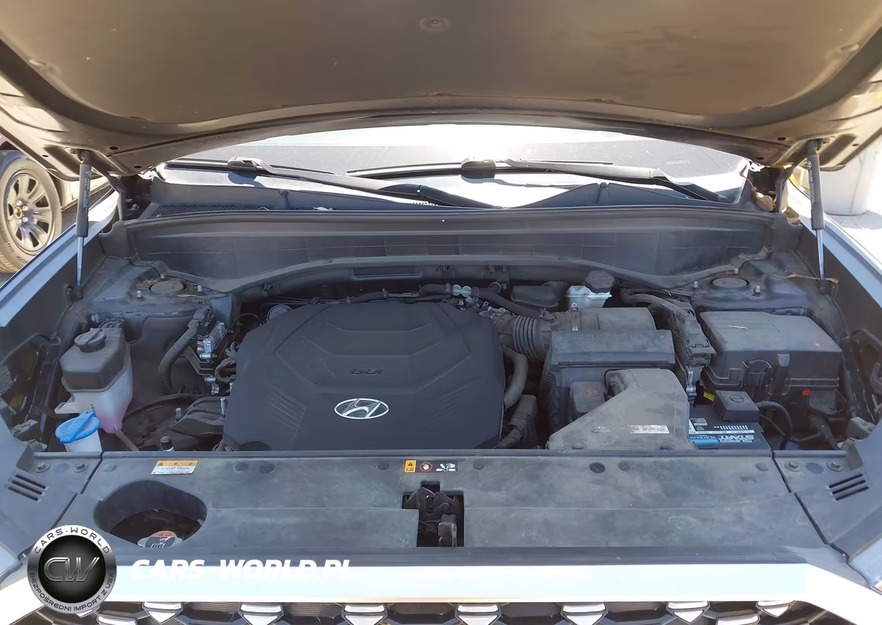 2021 Hyundai Palisade Calligraphy VIN:KM8R74HE0MU333075 - 10